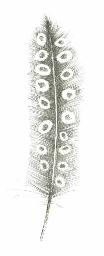 Feather Sketches VII art print by Avery Tillmon for $57.95 CAD