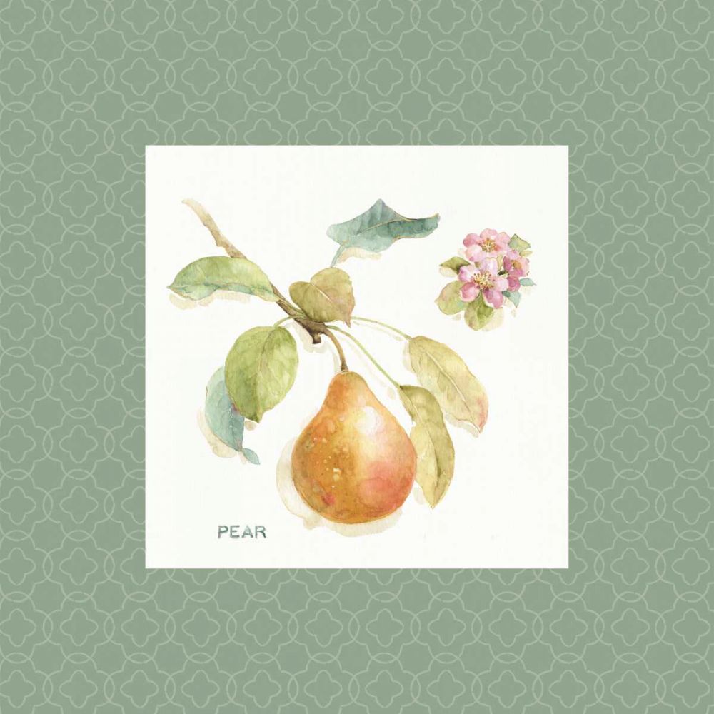 Orchard Bloom II Border art print by Lisa Audit for $57.95 CAD
