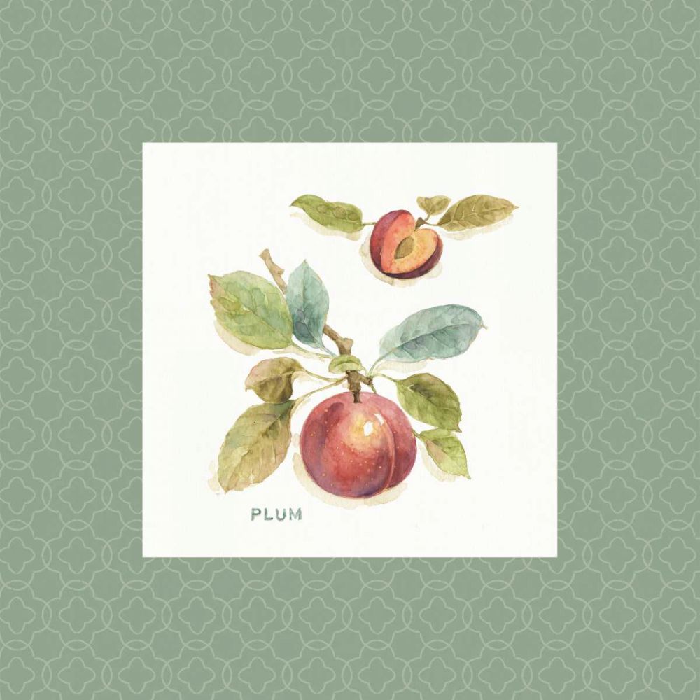 Orchard Bloom IV Border art print by Lisa Audit for $57.95 CAD