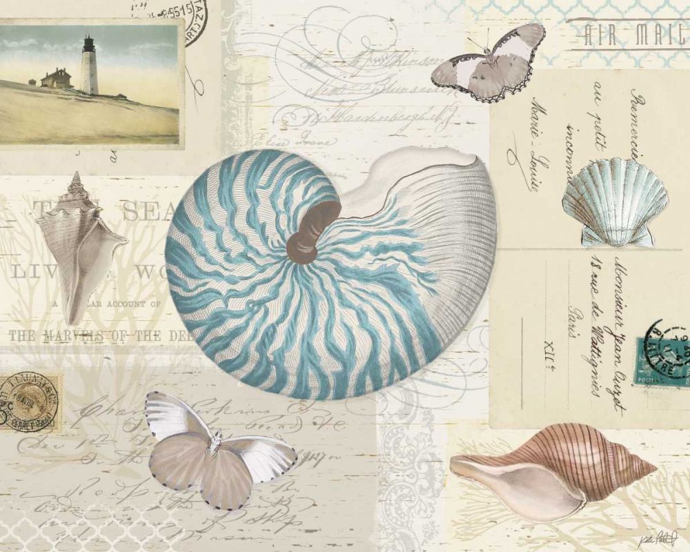 Beach Wonders I art print by Katie Pertiet for $57.95 CAD