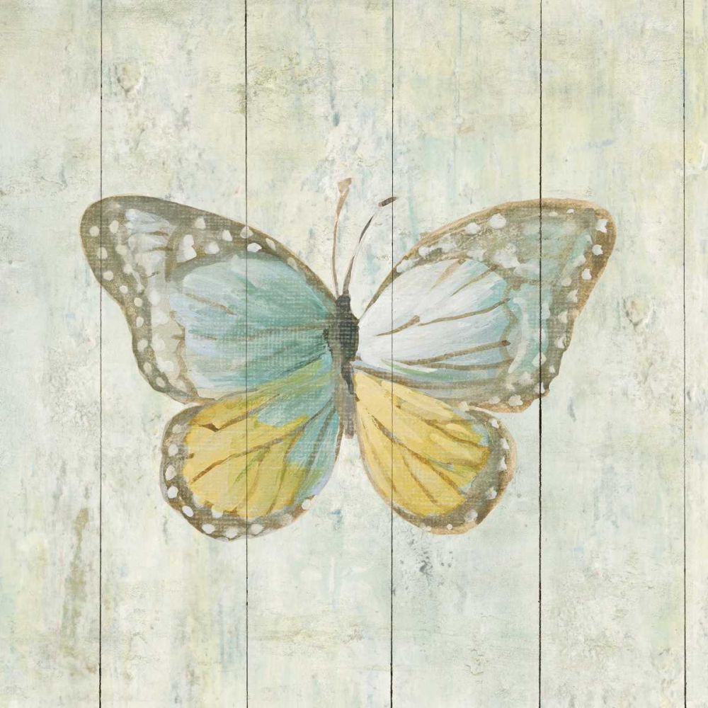 Natural Flora VI art print by Danhui Nai for $57.95 CAD