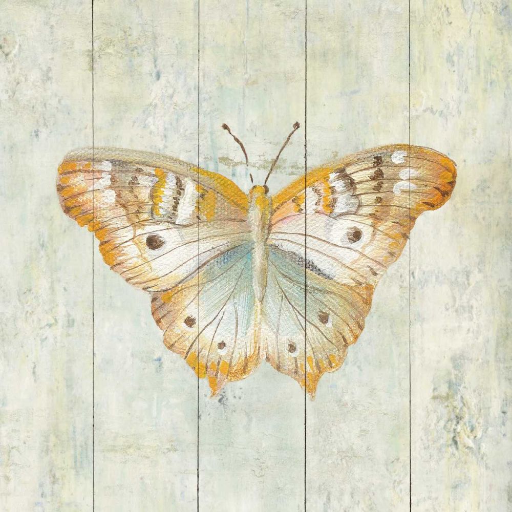 Natural Flora VII art print by Danhui Nai for $57.95 CAD