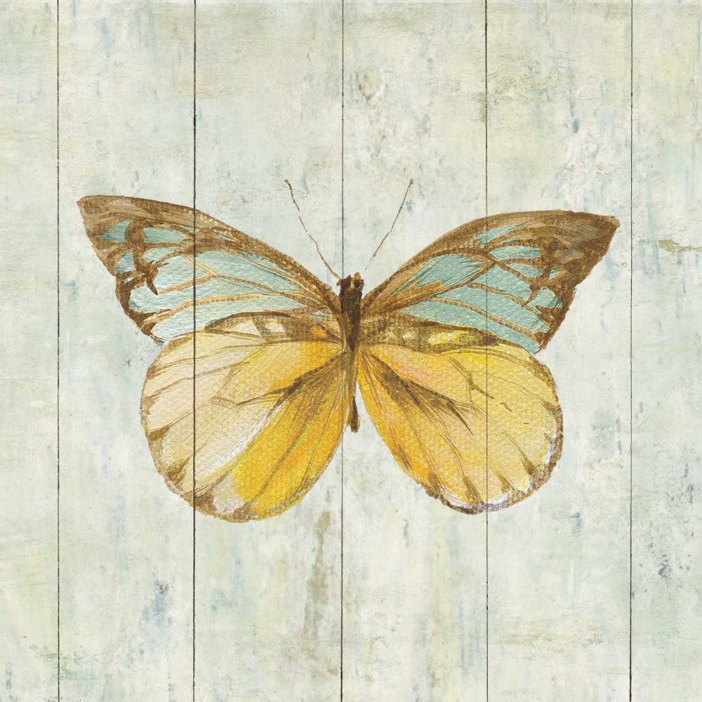 Natural Flora VIII art print by Danhui Nai for $57.95 CAD
