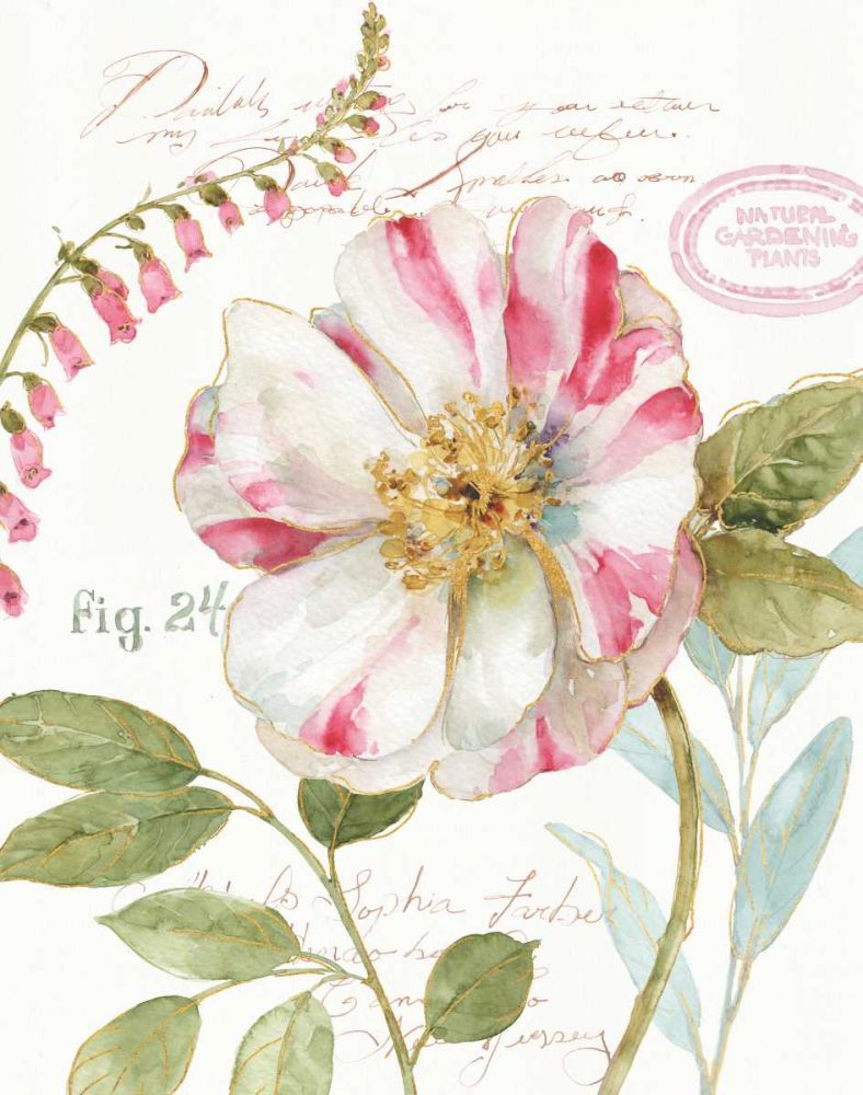Rainbow Seeds Botanical II art print by Lisa Audit for $57.95 CAD