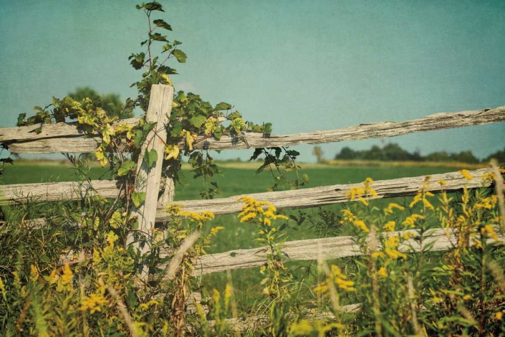 Blissful Country V art print by Elizabeth Urquhart for $57.95 CAD