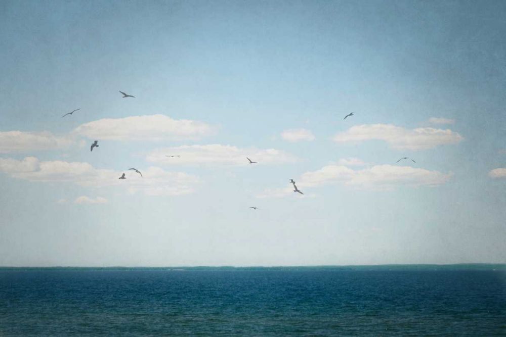 Calm Days IV art print by Elizabeth Urquhart for $57.95 CAD