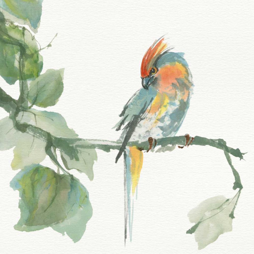 Crested Cockatoo art print by Chris Paschke for $57.95 CAD