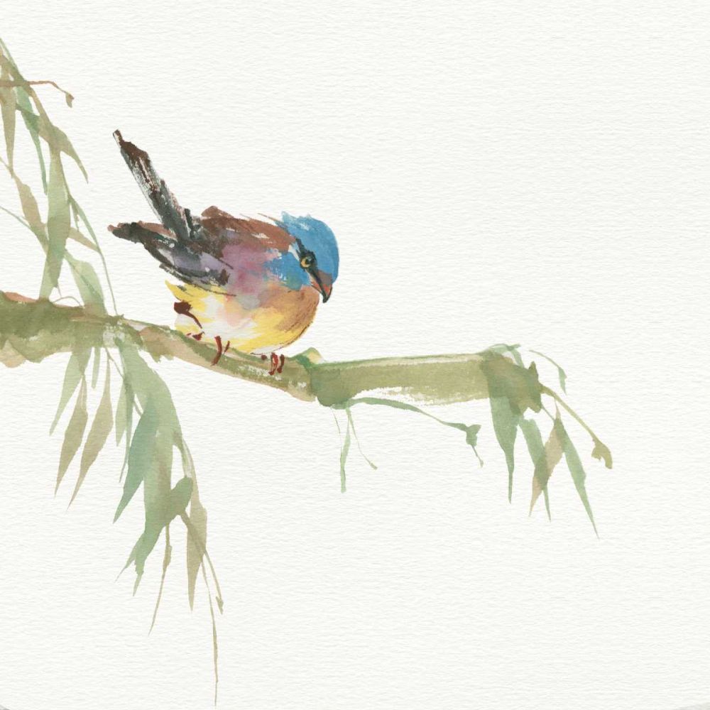 Finch art print by Chris Paschke for $57.95 CAD