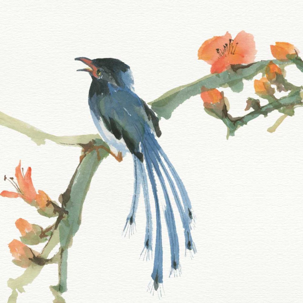 Formosan Blue Magpie art print by Chris Paschke for $57.95 CAD