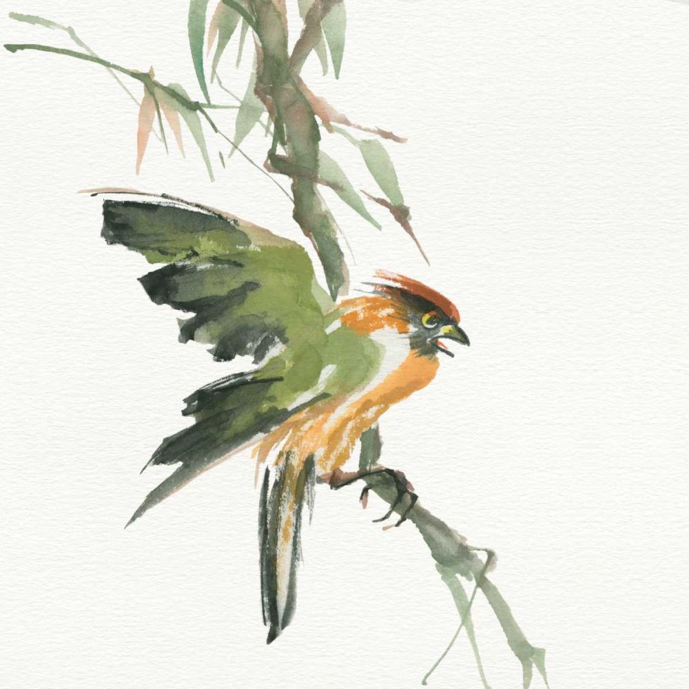 Formosan Firecrest art print by Chris Paschke for $57.95 CAD