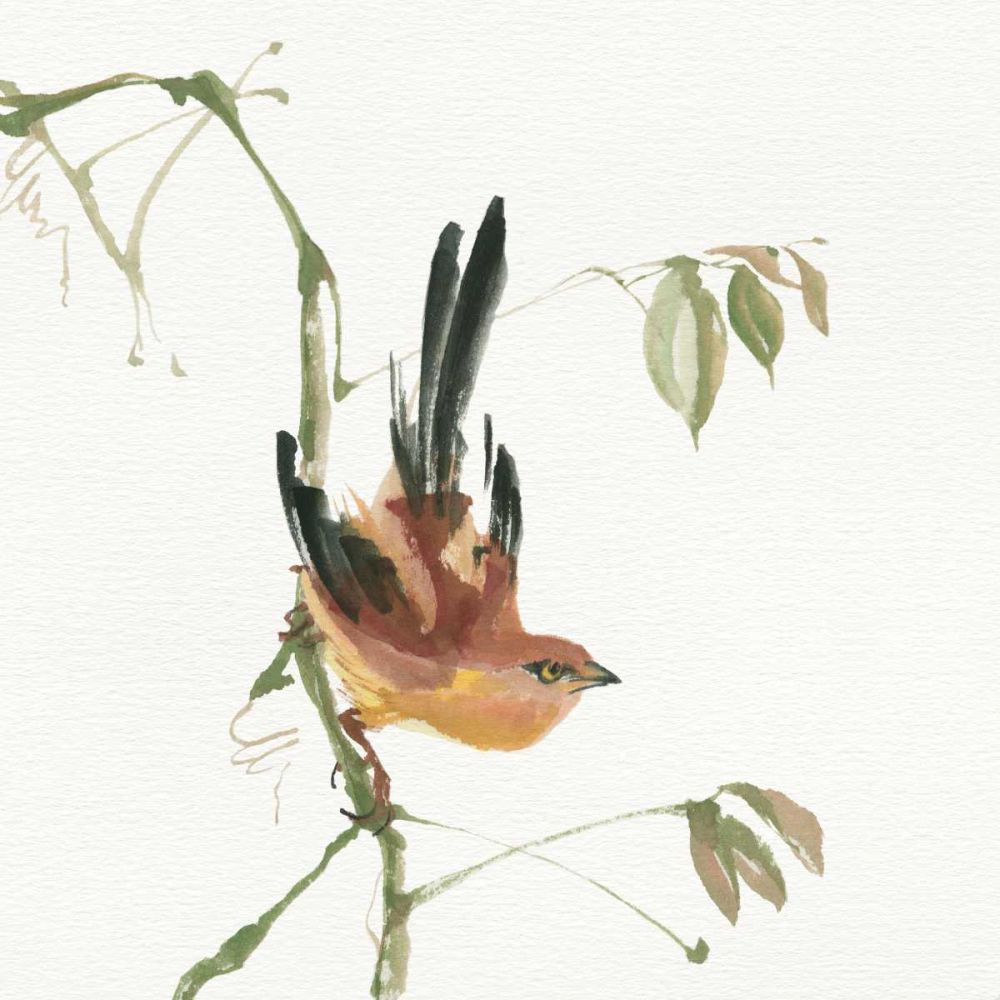 Mountain Bush Warbler art print by Chris Paschke for $57.95 CAD