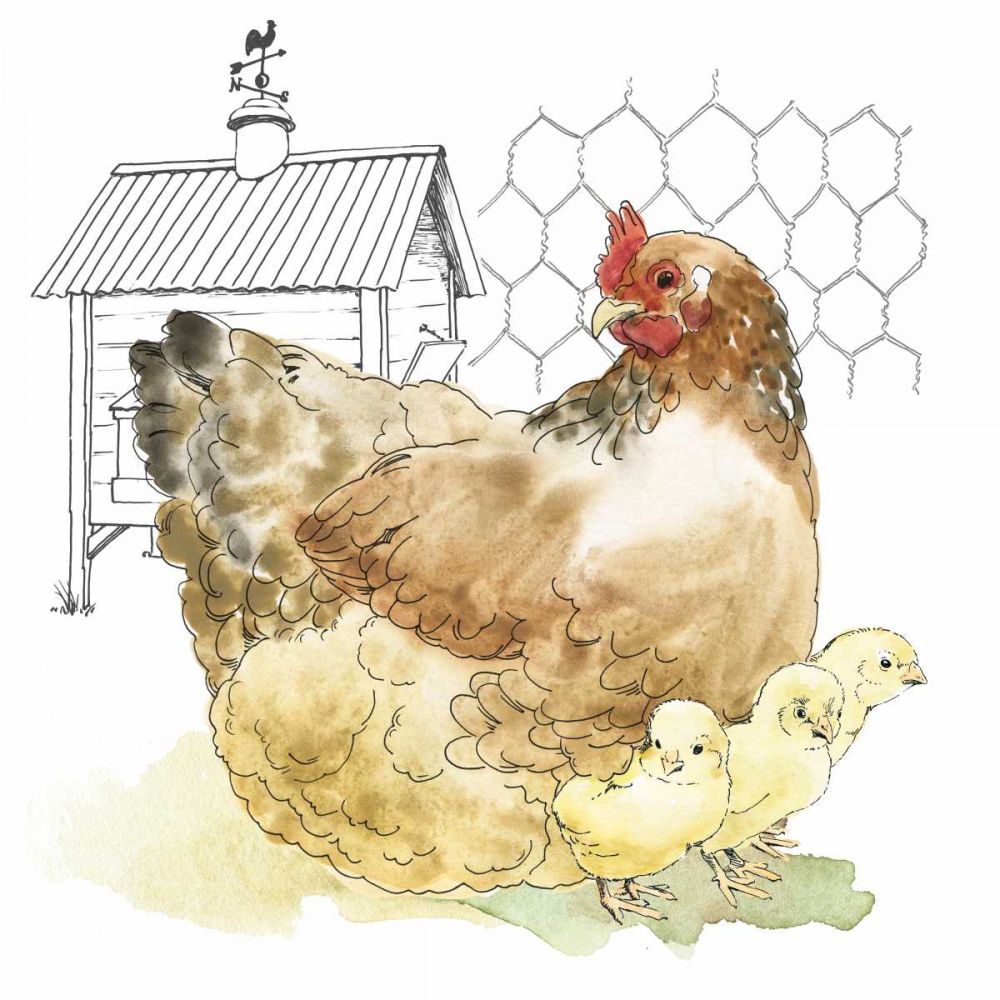Fun at the Coop I art print by Beth Grove for $57.95 CAD