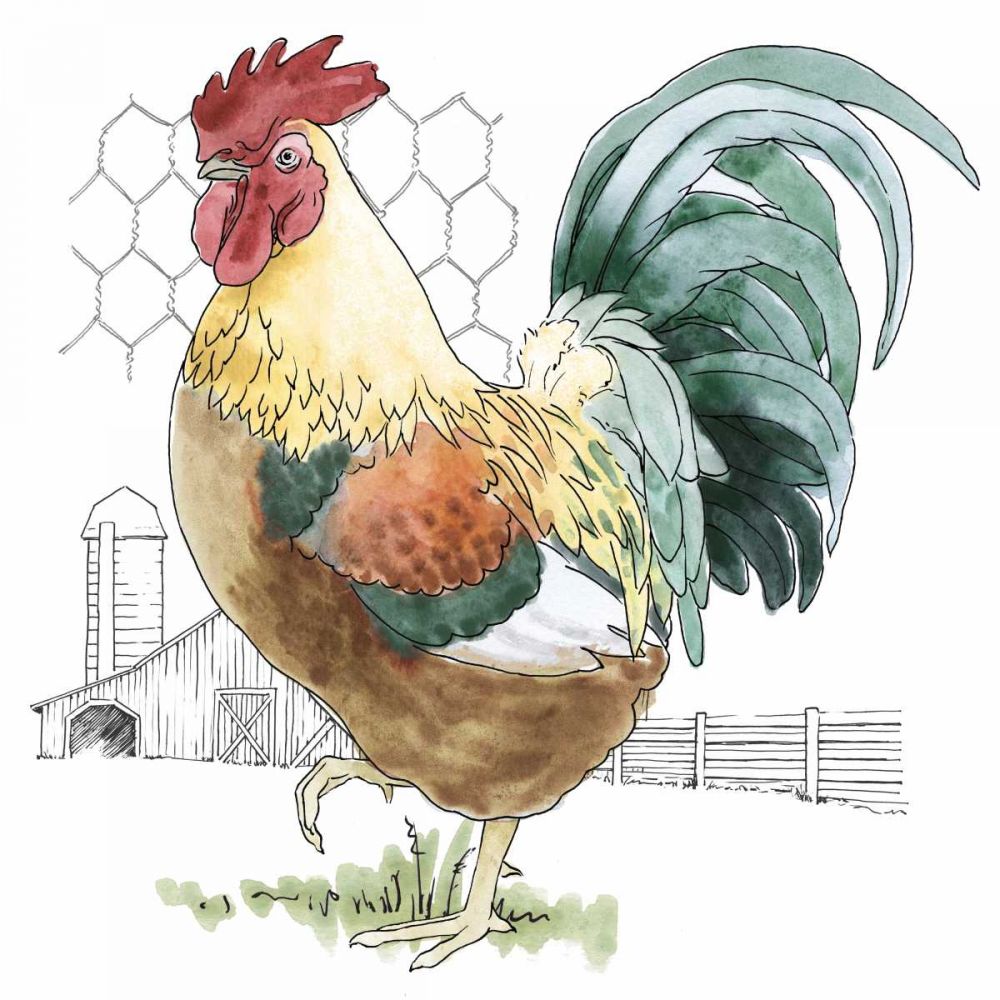 Fun at the Coop V art print by Beth Grove for $57.95 CAD