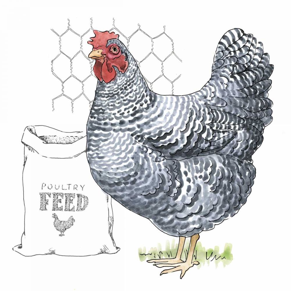 Fun at the Coop III v2 art print by Beth Grove for $57.95 CAD