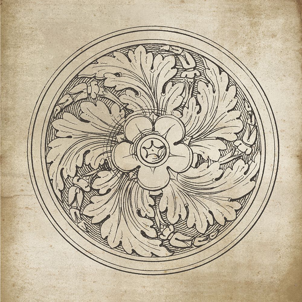 Rosette II Neutral art print by Wild Apple Portfolio for $57.95 CAD