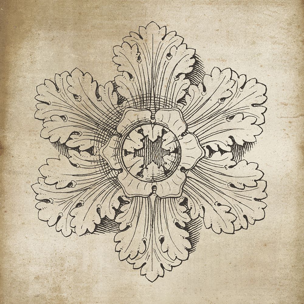 Rosette V Neutral art print by Wild Apple Portfolio for $57.95 CAD