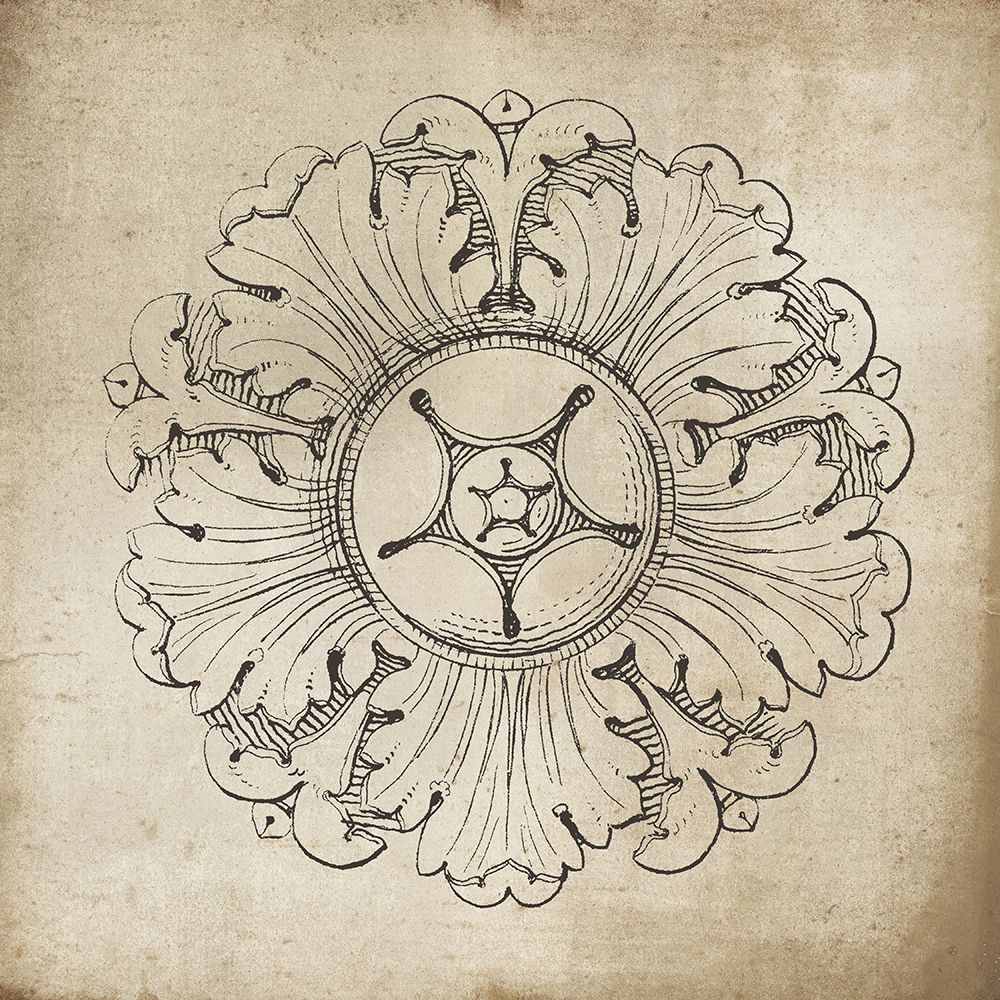 Rosette VI Neutral art print by Wild Apple Portfolio for $57.95 CAD