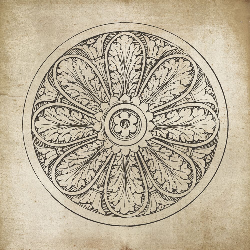 Rosette VIII Neutral art print by Wild Apple Portfolio for $57.95 CAD