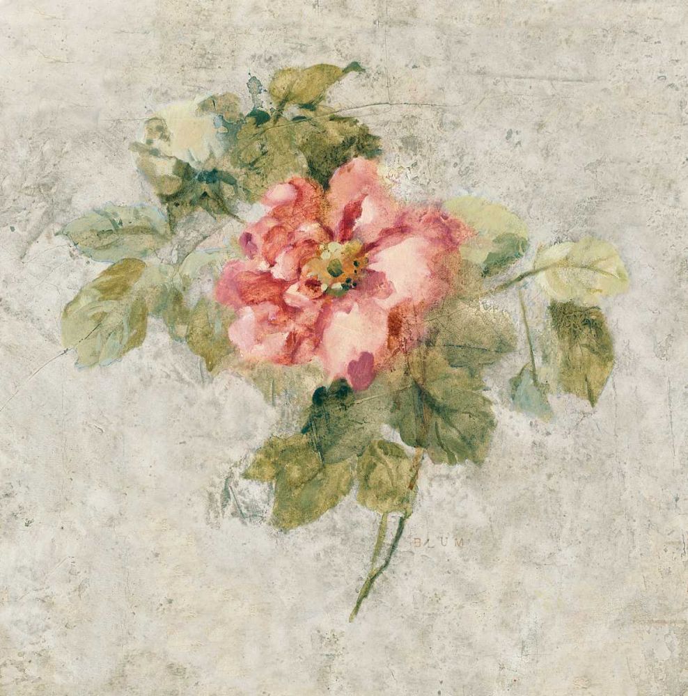 Provence Rose II Red and Neutral art print by Cheri Blum for $57.95 CAD