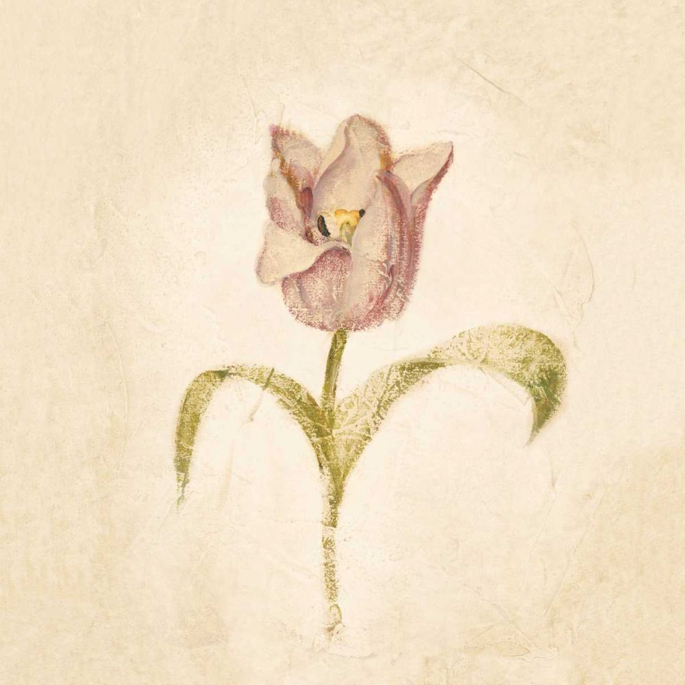 Blue Parrot Tulip on White Crop art print by Cheri Blum for $57.95 CAD