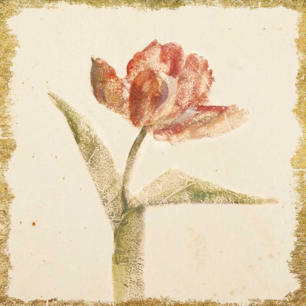 Vintage Flaming Parrot Tulip Crop art print by Cheri Blum for $57.95 CAD