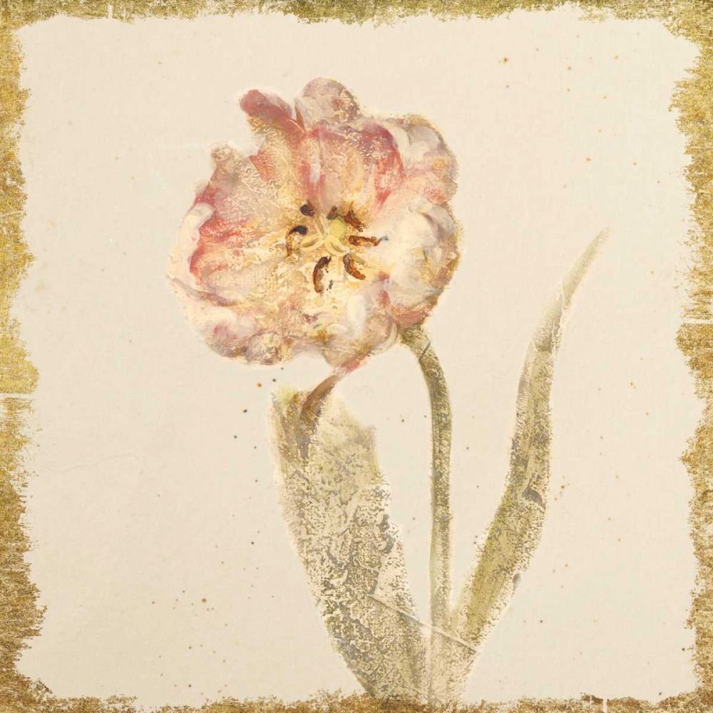 Vintage May Wonder Tulip Crop art print by Cheri Blum for $57.95 CAD