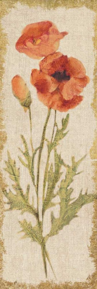 Poppy Panel on White Vintage art print by Cheri Blum for $57.95 CAD