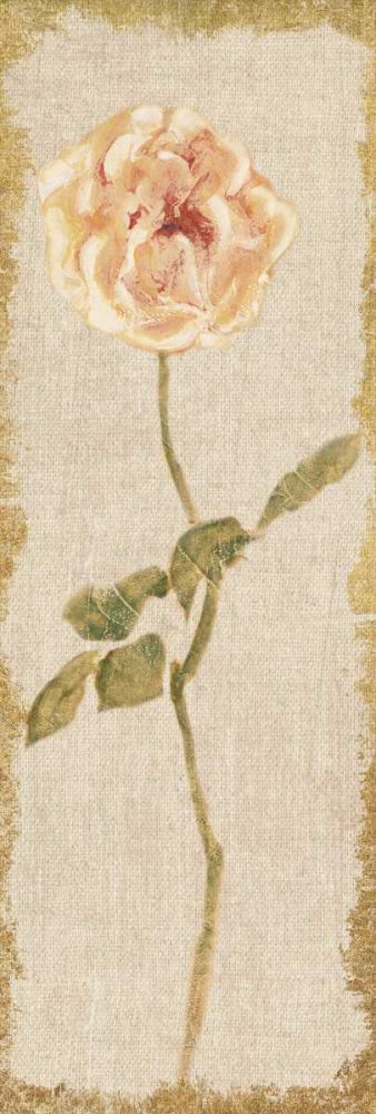 Pale Rose Panel on White Vintage art print by Cheri Blum for $57.95 CAD