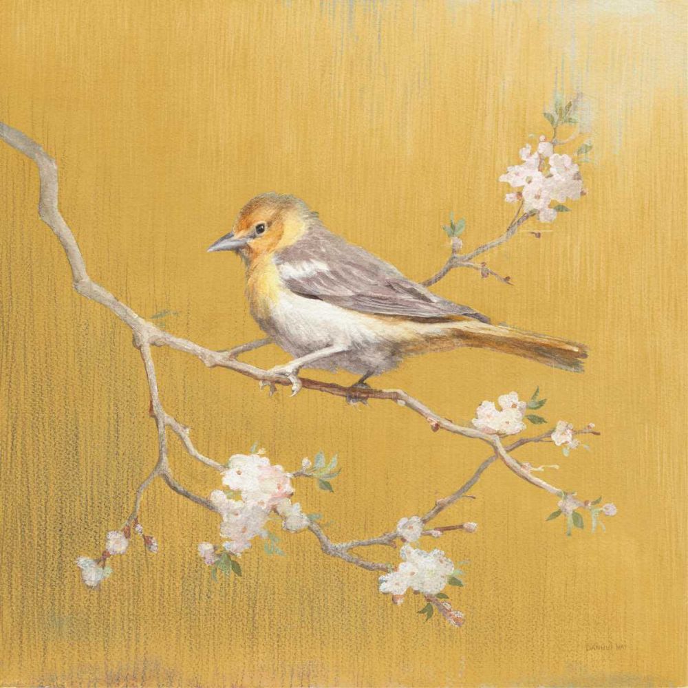 Northern Oriole on Gold art print by Danhui Nai for $57.95 CAD