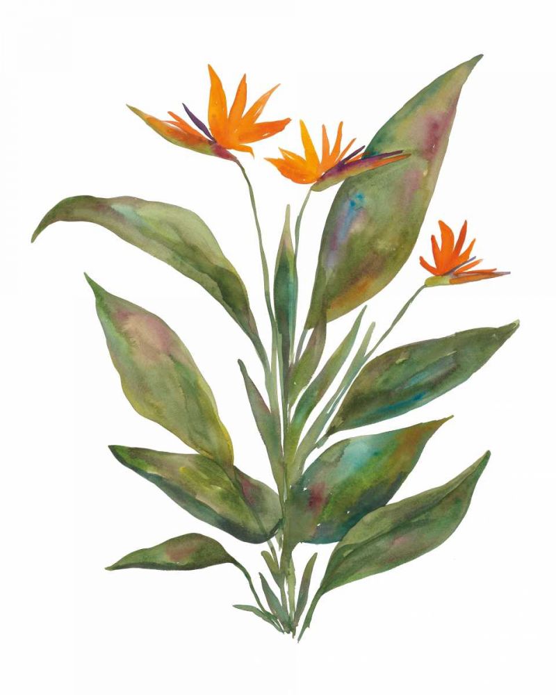 Bright Bromeliad art print by Wild Apple Portfolio for $57.95 CAD