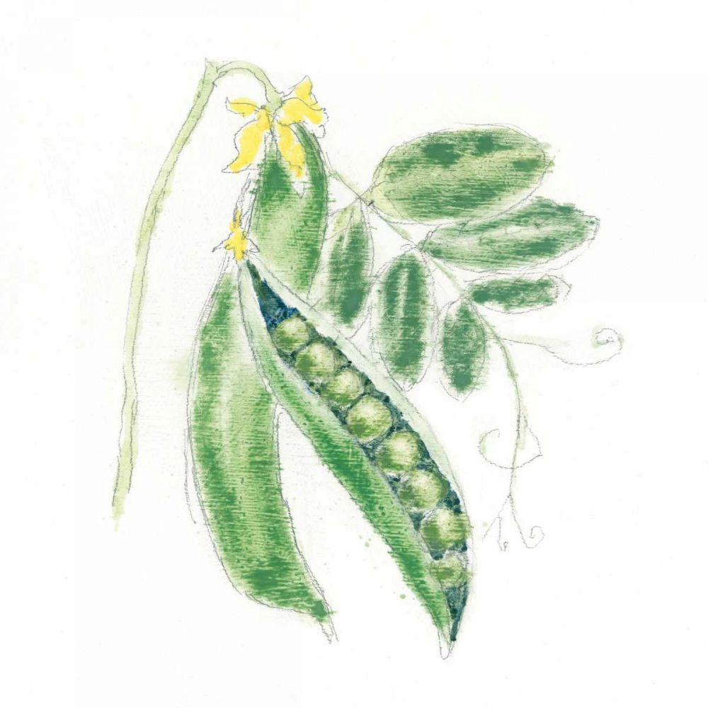 Garden Delight XI art print by Emily Adams for $57.95 CAD
