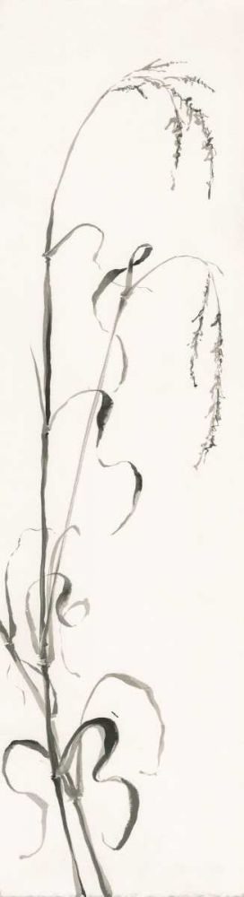 Gray Grasses III art print by Chris Paschke for $57.95 CAD