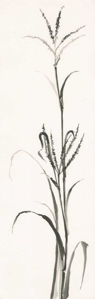 Gray Grasses IV art print by Chris Paschke for $57.95 CAD