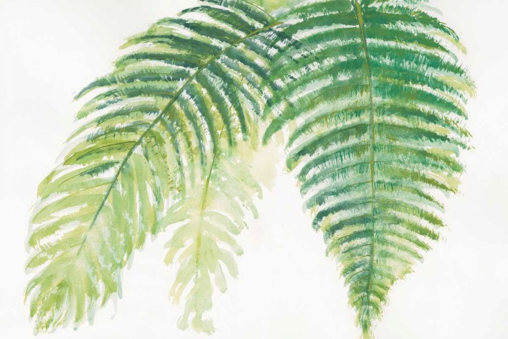 Ferns III art print by Chris Paschke for $57.95 CAD