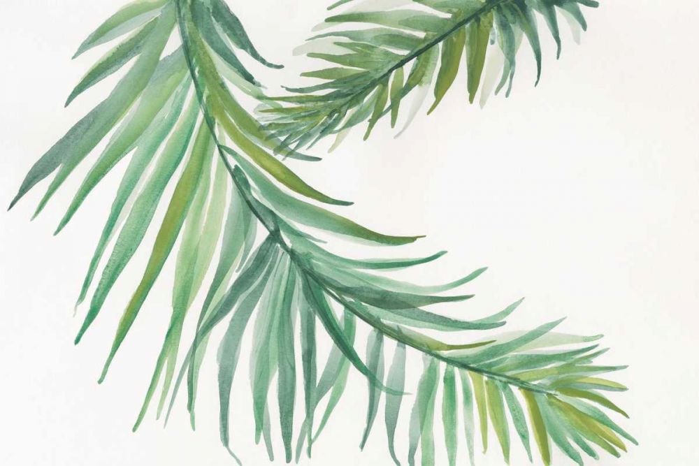 Ferns IV art print by Chris Paschke for $57.95 CAD