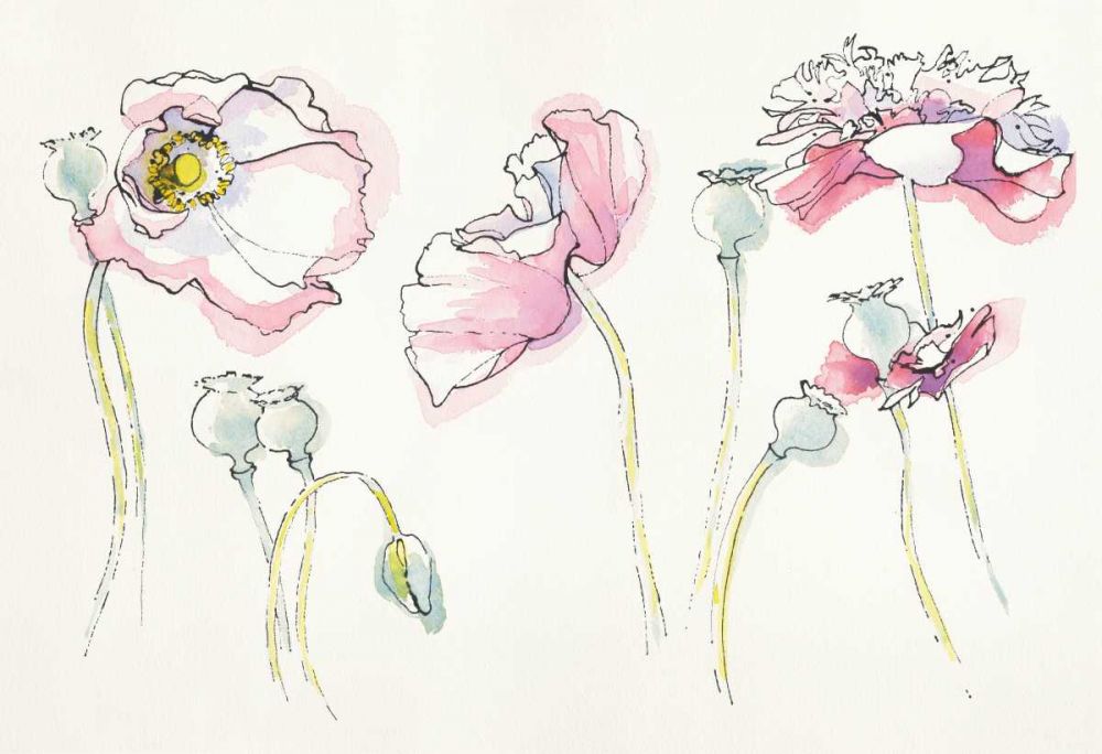 Pink Somniferums art print by Shirley Novak for $57.95 CAD