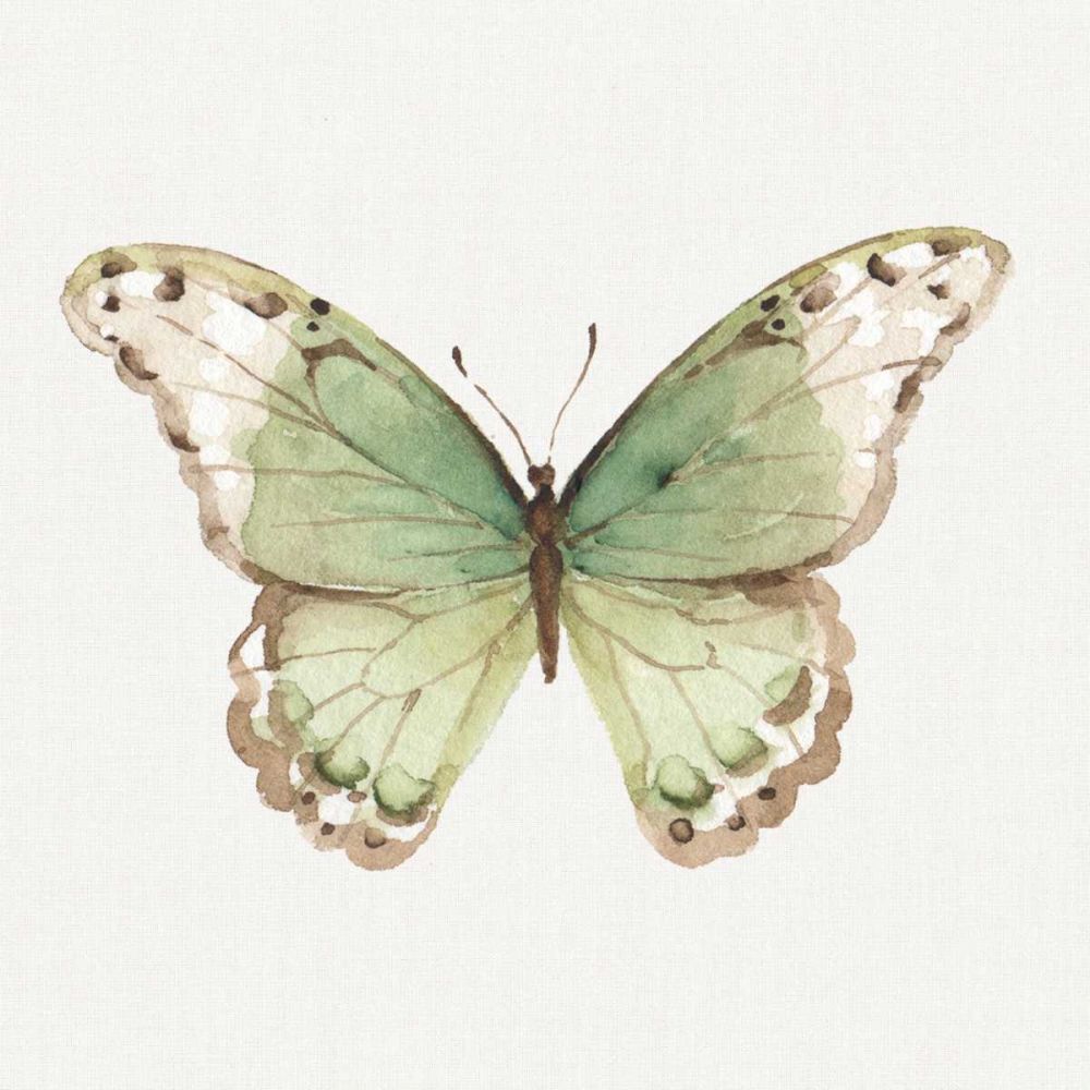 Colorful Breeze XII art print by Lisa Audit for $57.95 CAD