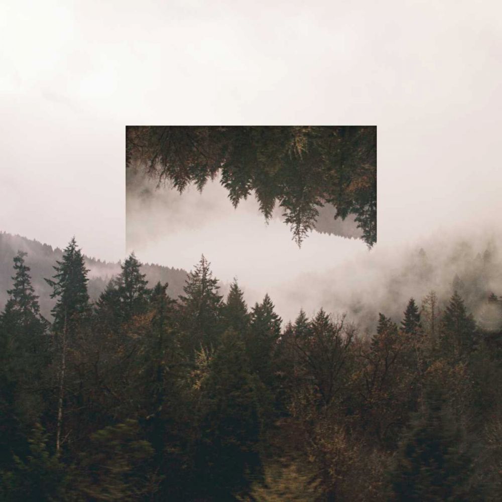 Reflected Landscape I art print by Laura Marshall for $57.95 CAD