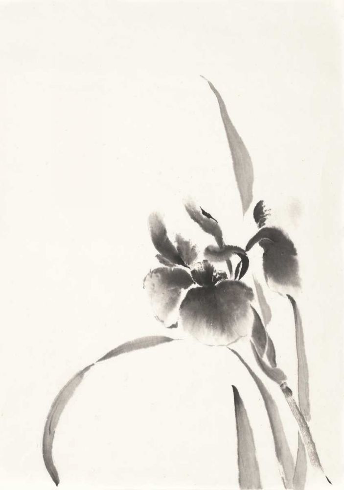 Japanese Iris I art print by Chris Paschke for $57.95 CAD
