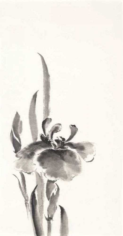 Japanese Iris II art print by Chris Paschke for $57.95 CAD