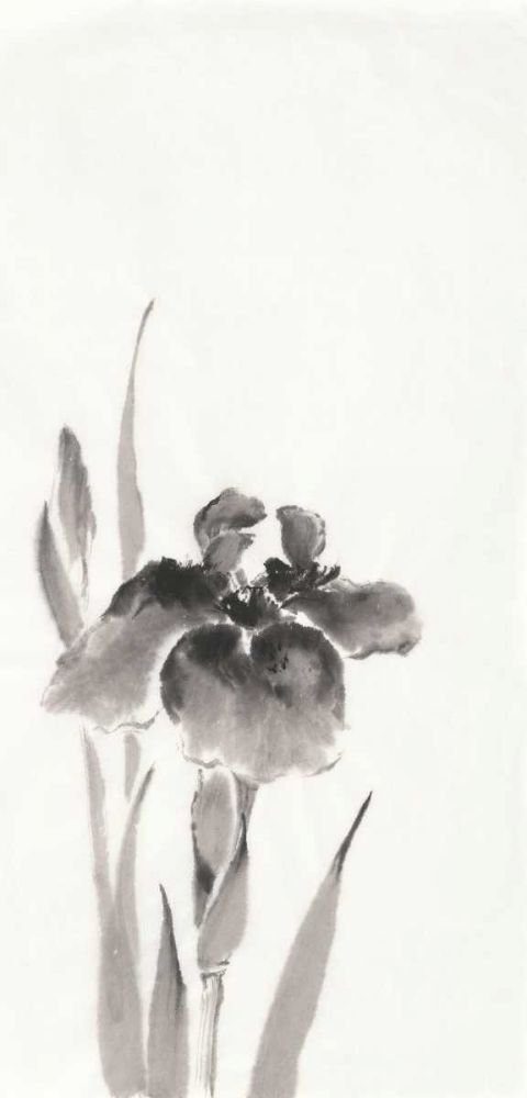 Japanese Iris III art print by Chris Paschke for $57.95 CAD