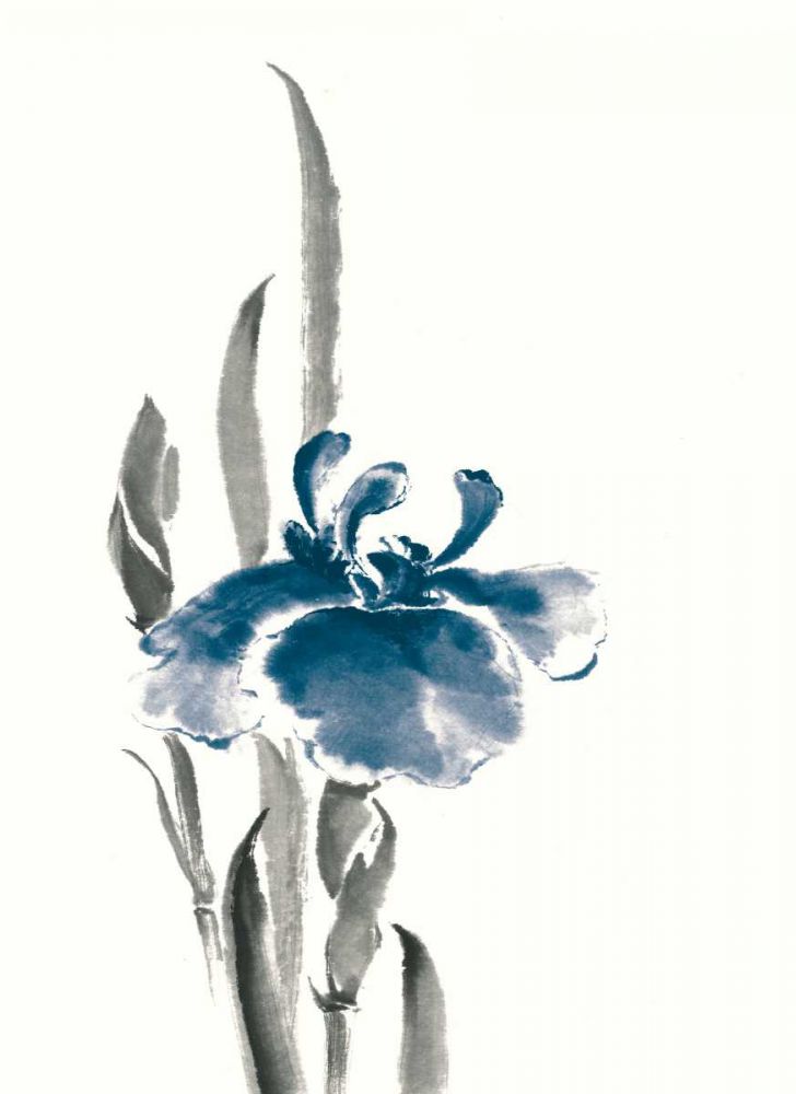 Japanese Iris II Crop Indigo art print by Chris Paschke for $57.95 CAD
