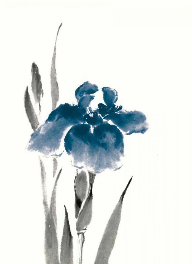 Japanese Iris III Crop Indigo art print by Chris Paschke for $57.95 CAD