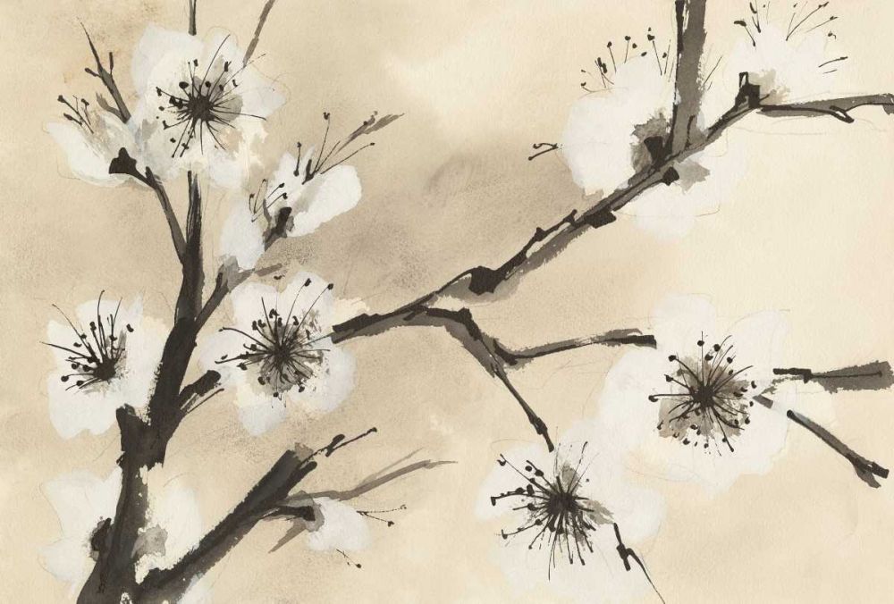 Spring Blossoms II Crop art print by Chris Paschke for $57.95 CAD