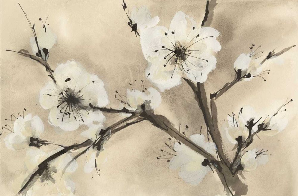 Spring Blossoms III art print by Chris Paschke for $57.95 CAD
