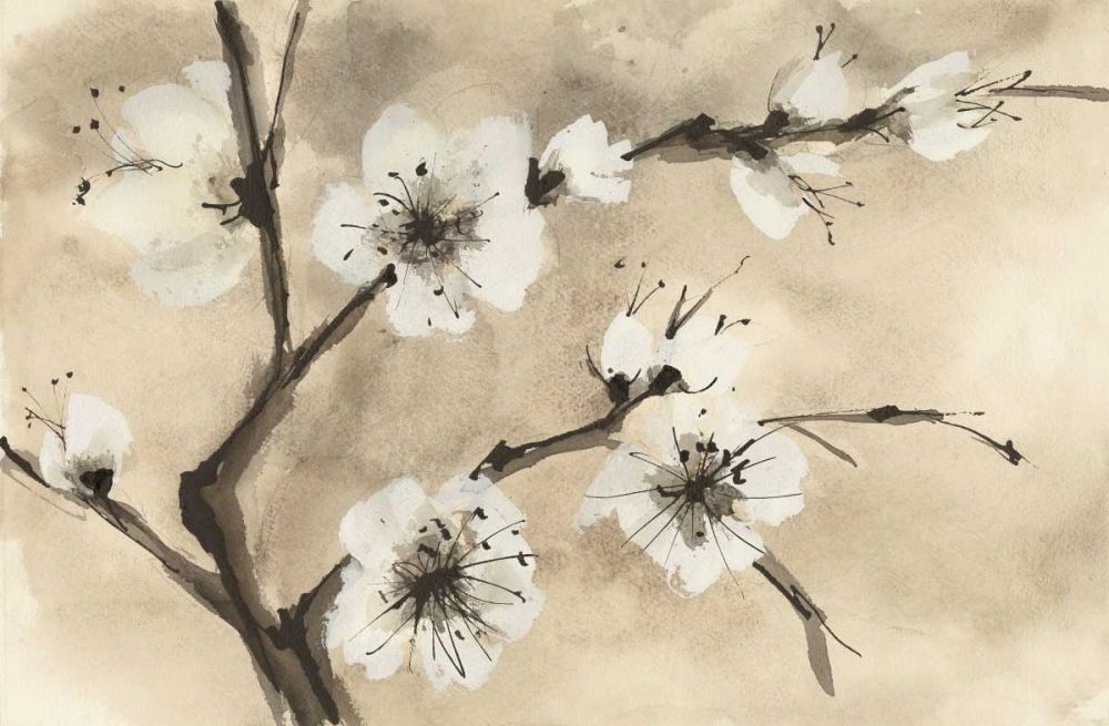 Spring Blossoms IV art print by Chris Paschke for $57.95 CAD