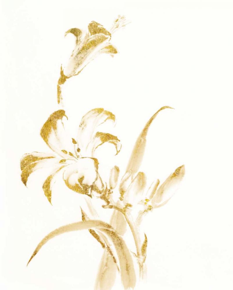Sumi Daylily II Gold art print by Chris Paschke for $57.95 CAD