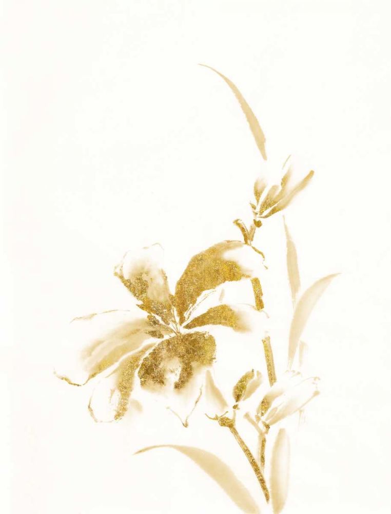 Sumi Daylily IV Gold art print by Chris Paschke for $57.95 CAD