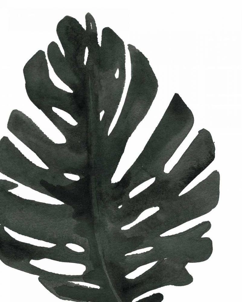 Tropical Palm I BW art print by Wild Apple Portfolio for $57.95 CAD