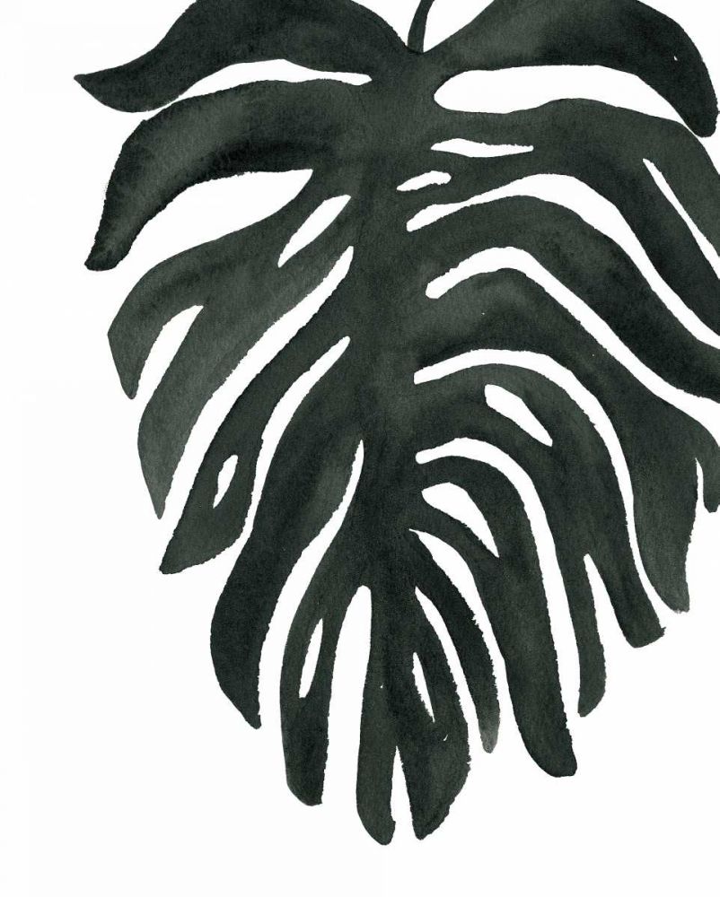Tropical Palm II BW art print by Wild Apple Portfolio for $57.95 CAD